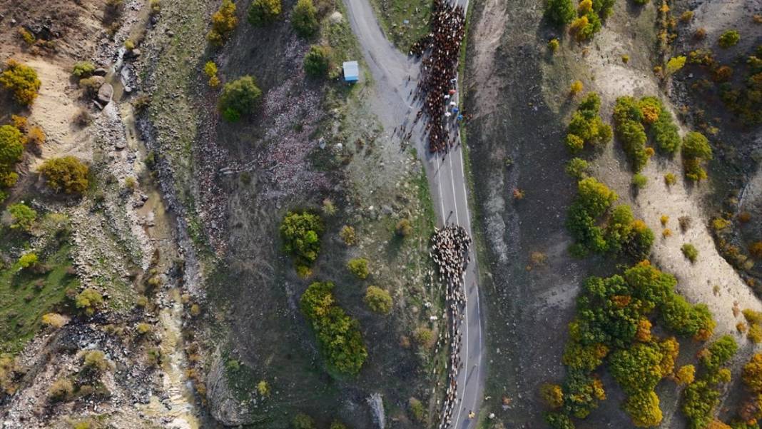 Göçerlerin bir ay sürecek eve dönüş yolculuğu başladı 15