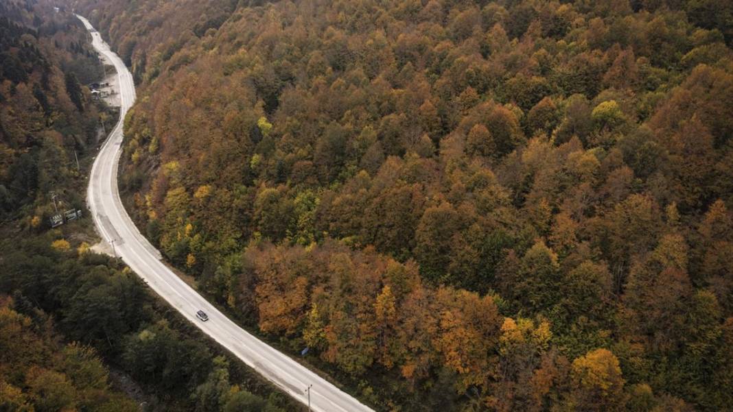 Düzce yaylaları ziyaretçilerini sonbahar manzarasıyla ağırlıyor 12
