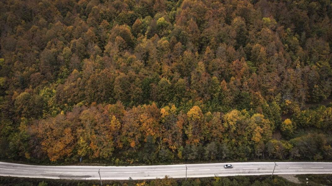 Düzce yaylaları ziyaretçilerini sonbahar manzarasıyla ağırlıyor 13