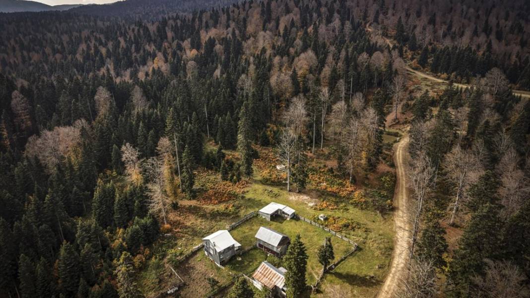 Düzce yaylaları ziyaretçilerini sonbahar manzarasıyla ağırlıyor 16