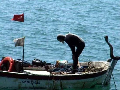 Namazı sandalda kıldı 6