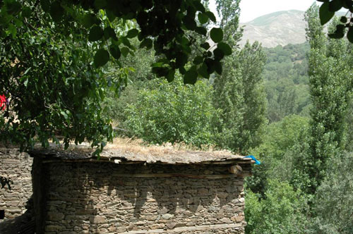 Nurs Said Nursi Külliyesi Açılıyor 19