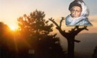 Bediüzzaman Said Nursi'nin 'Ağaçları'