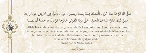 Peygamberimizin Merhamet Hadisleri 5