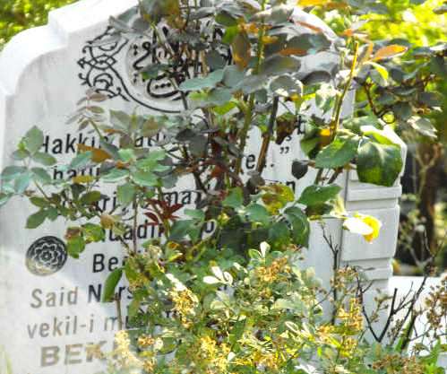 Bekir Berk'i Anma 15