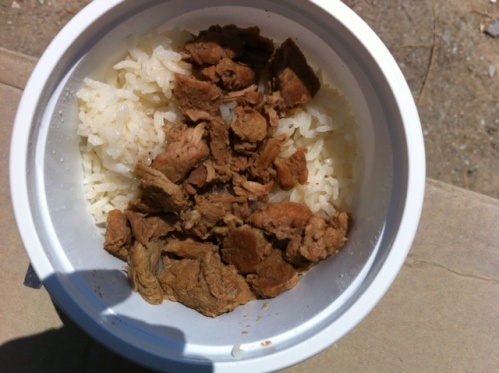 Binlerce Nur talebesi Çamlık'ta buluştu 22