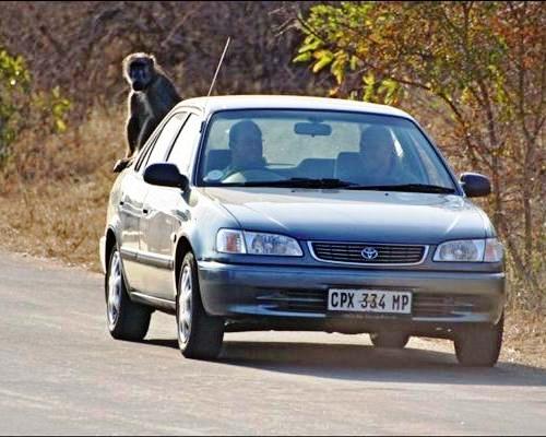 Afrika'nın yolları 10