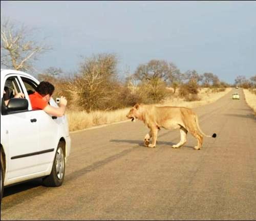 Afrika'nın yolları 17