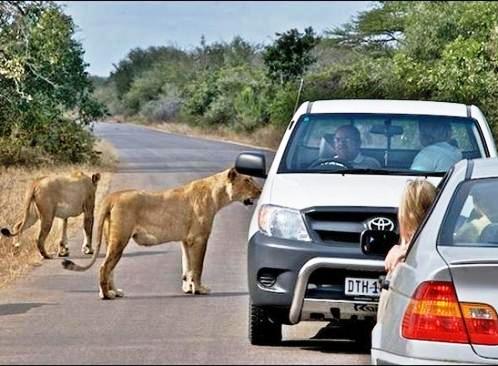Afrika'nın yolları 2