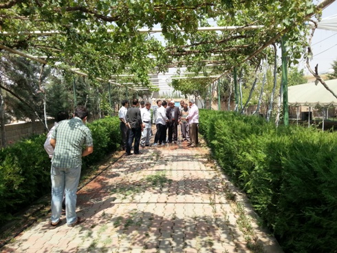 Nur talebeleri Kızıltepe Mevlidinde buluştu 1