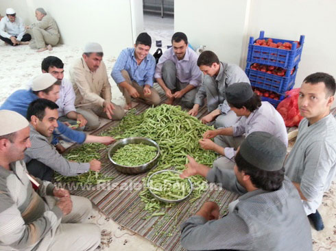 Barla okuma programı başladı 14