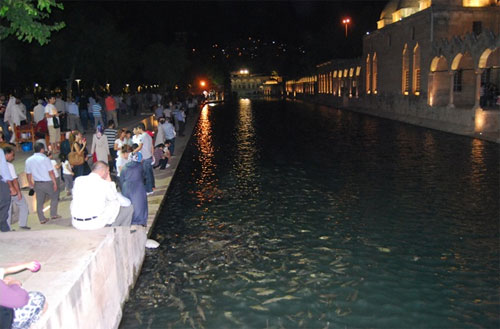 Urfa Bediüzzaman Mevlidi 5