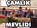Çamlık Mevlidi 2014