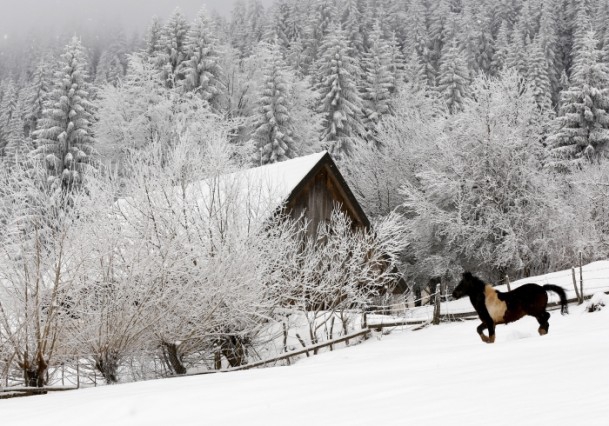 Bosna beyaza büründü 6