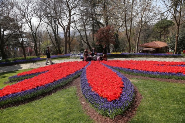 İstanbul Lale Festivali başladı 12