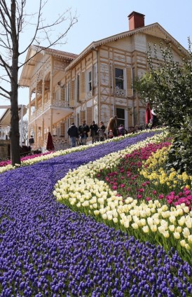 İstanbul Lale Festivali başladı 2