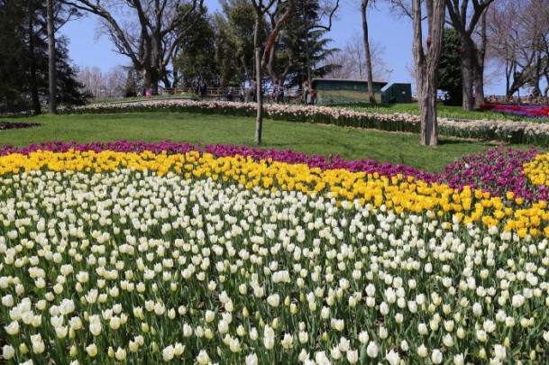 İstanbul Lale Festivali başladı 6