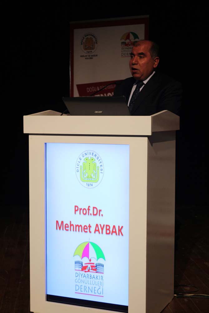 Doğu ve Güneydoğu Anadolu “Gençlik Festivali” 19