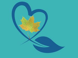 Yaşlanma ve Manevi Bakım çalıştayı programı