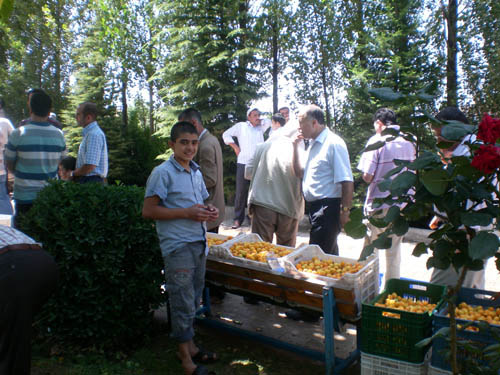 Elazığ Bediüzzaman Mevlidi 26