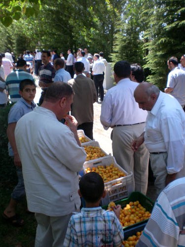 Elazığ Bediüzzaman Mevlidi 27