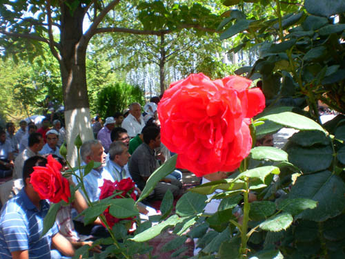 Elazığ Bediüzzaman Mevlidi 46