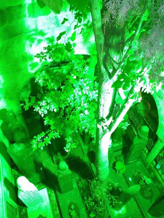 Urfa Bediüzzaman Mevlidi - 2015 25