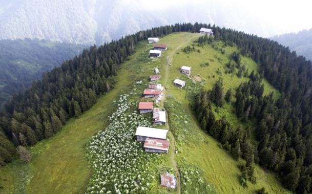 Karadeniz'de doğa tutkunlarının vazgeçilmezi Pokut ve Sal Yaylası 1