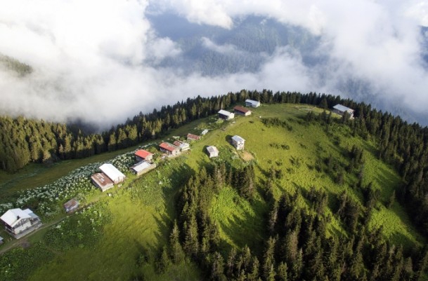Karadeniz'de doğa tutkunlarının vazgeçilmezi Pokut ve Sal Yaylası 2