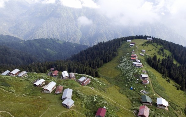 Karadeniz'de doğa tutkunlarının vazgeçilmezi Pokut ve Sal Yaylası 3