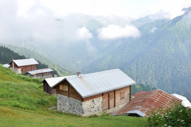 Karadeniz'de doğa tutkunlarının vazgeçilmezi Pokut ve Sal Yaylası 4