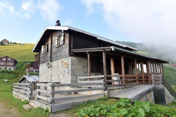 Karadeniz'de doğa tutkunlarının vazgeçilmezi Pokut ve Sal Yaylası 5