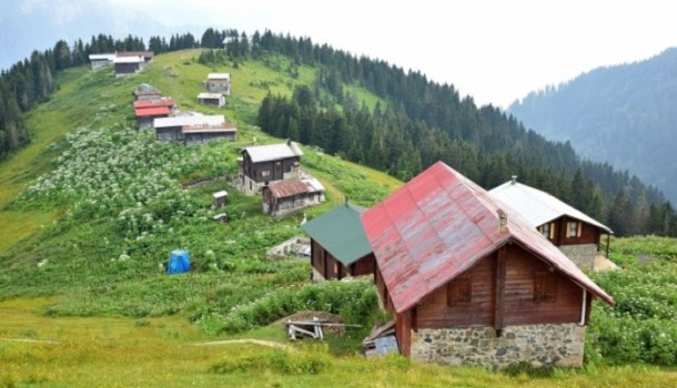 Karadeniz'de doğa tutkunlarının vazgeçilmezi Pokut ve Sal Yaylası 6