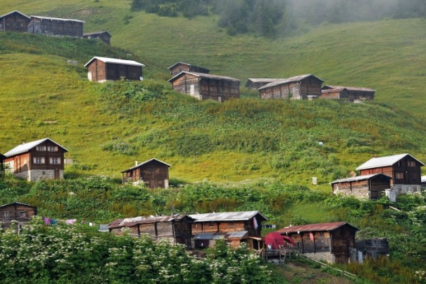 Karadeniz'de doğa tutkunlarının vazgeçilmezi Pokut ve Sal Yaylası 7