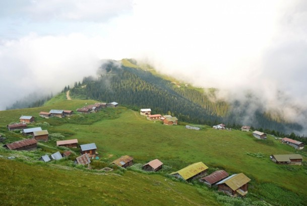 Karadeniz'de doğa tutkunlarının vazgeçilmezi Pokut ve Sal Yaylası 8