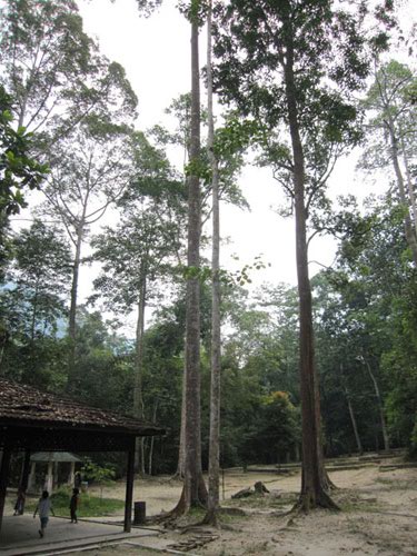 Filipinler ve Malezya 45