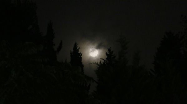 Bir daha ki 2033'de! 1