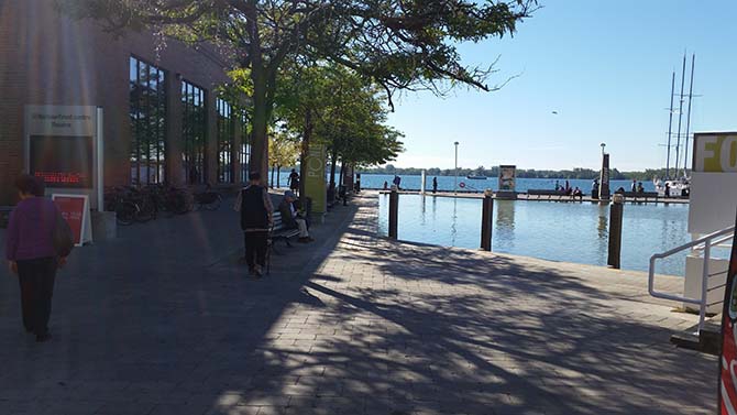 Kanada sokaklarında Risale-i Nur'dan sözler vardı 4