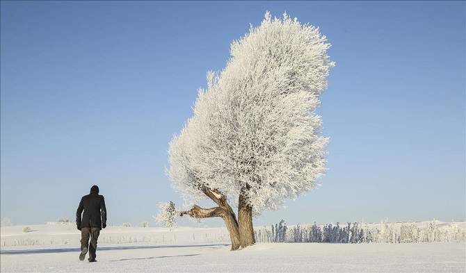 Kastamonu'da soğuk hava 4