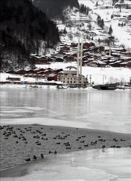 Uzungöl buz tuttu 5