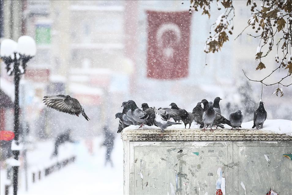 Ankara'da kar yağışı 4
