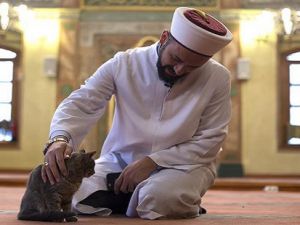 Kedi dostu imam