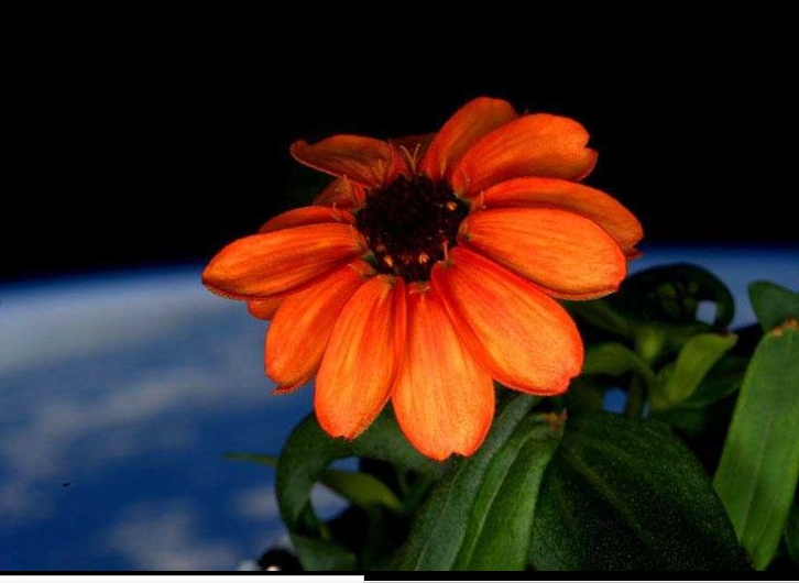Dünyamıza bir de Astronot gözünden bakın 20