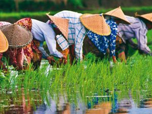 Vietnam ve Tayland'da Risale-i Nur sevinci