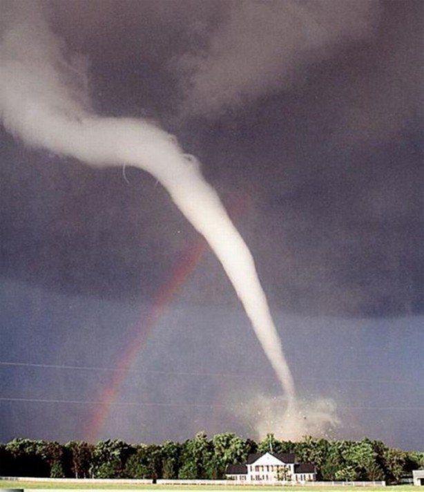 Bu fotoğraflar tamamen gerçek! 10