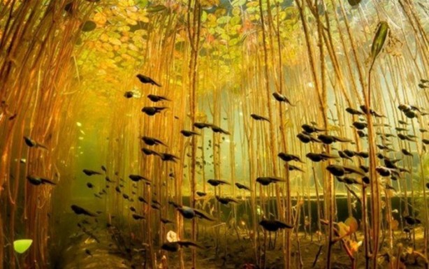Bu fotoğraflar tamamen gerçek! 5