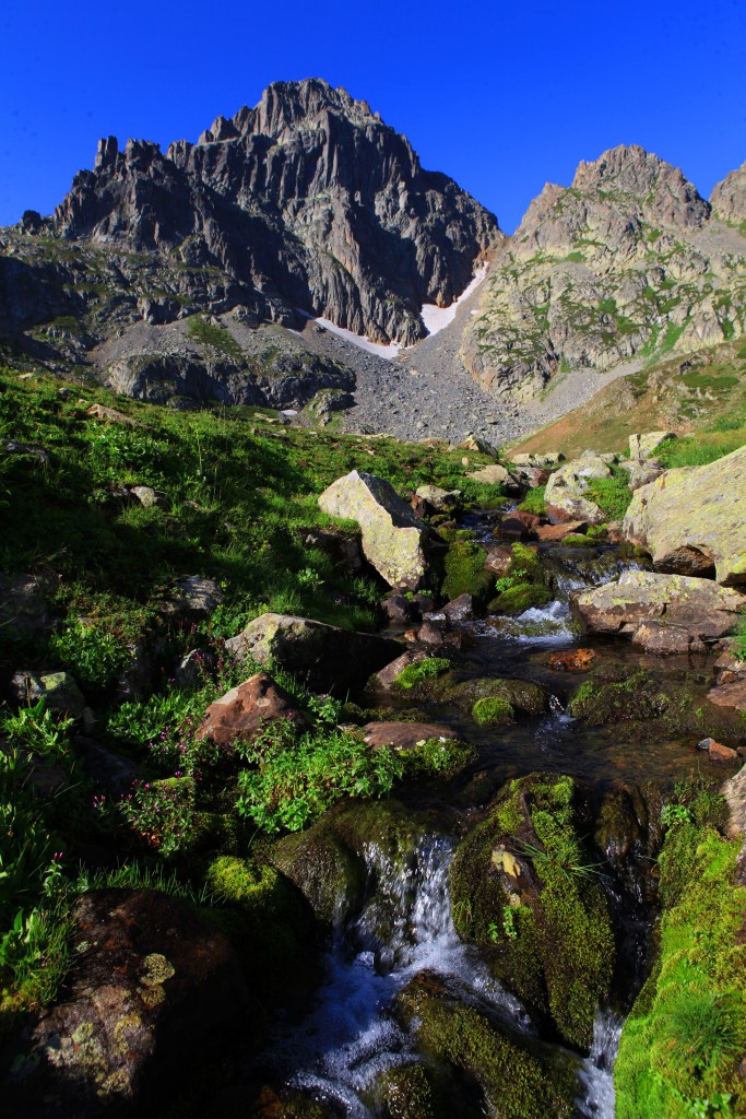 'Bulutların Üzerindeki' Marsis Dağı 8