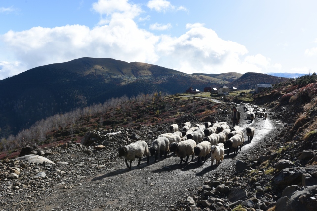 Doğu Karadeniz sonbaharda da cezbediyor 2