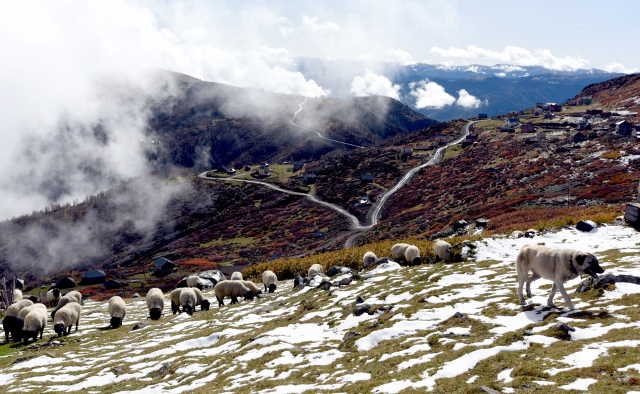 Doğu Karadeniz sonbaharda da cezbediyor 4