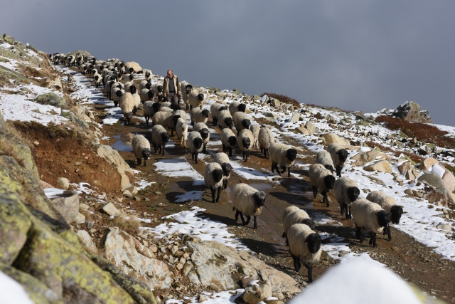 Doğu Karadeniz sonbaharda da cezbediyor 6